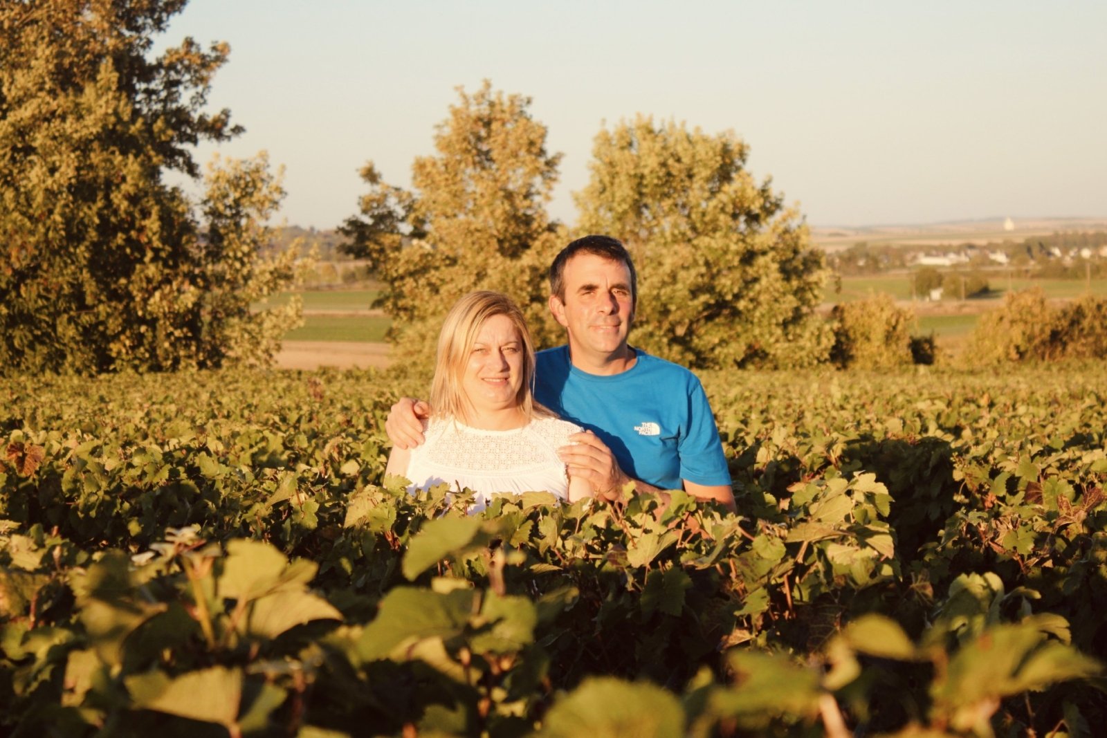 Zoom sur des grains de raisins dans les caisses, tout juste récoltés lors de la vendange